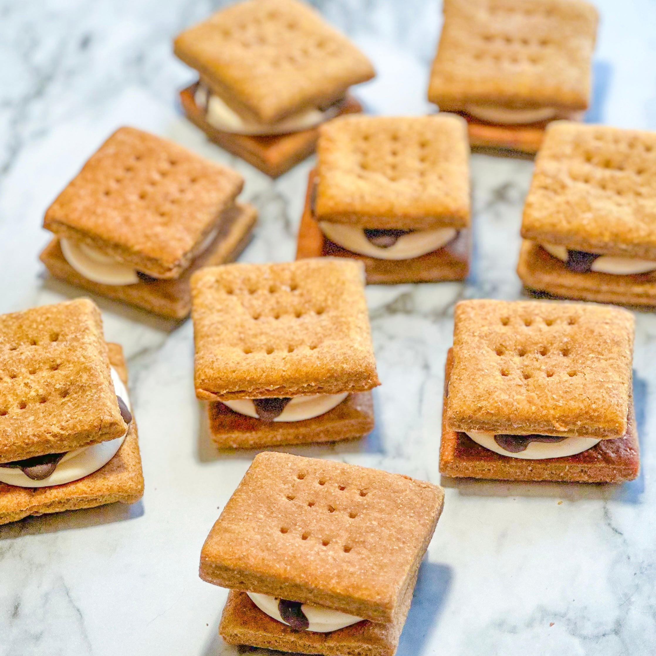 Peanut Butter S'mores Dog Treats 4 Pack