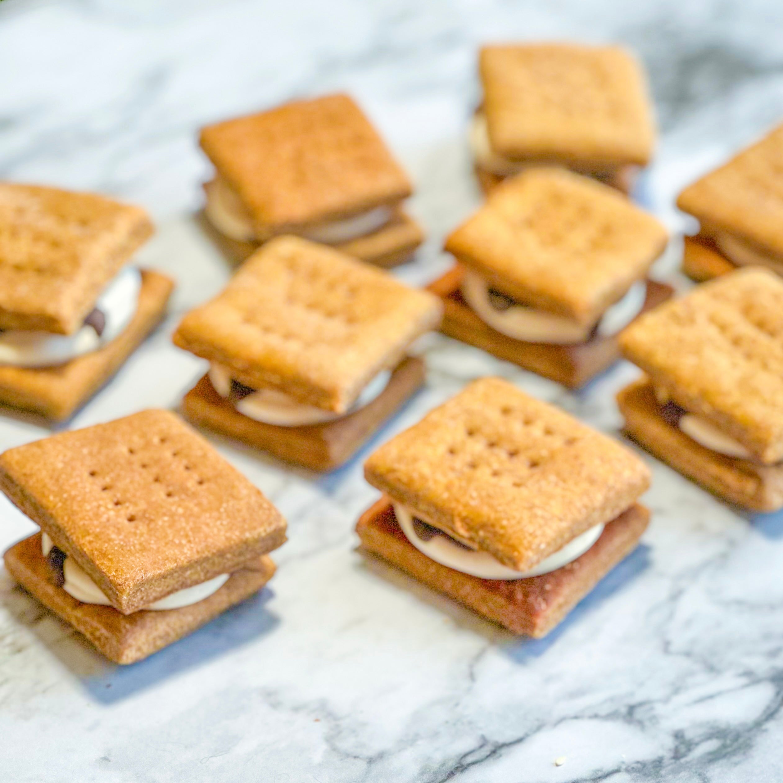 Peanut Butter S'mores Dog Treats 4 Pack