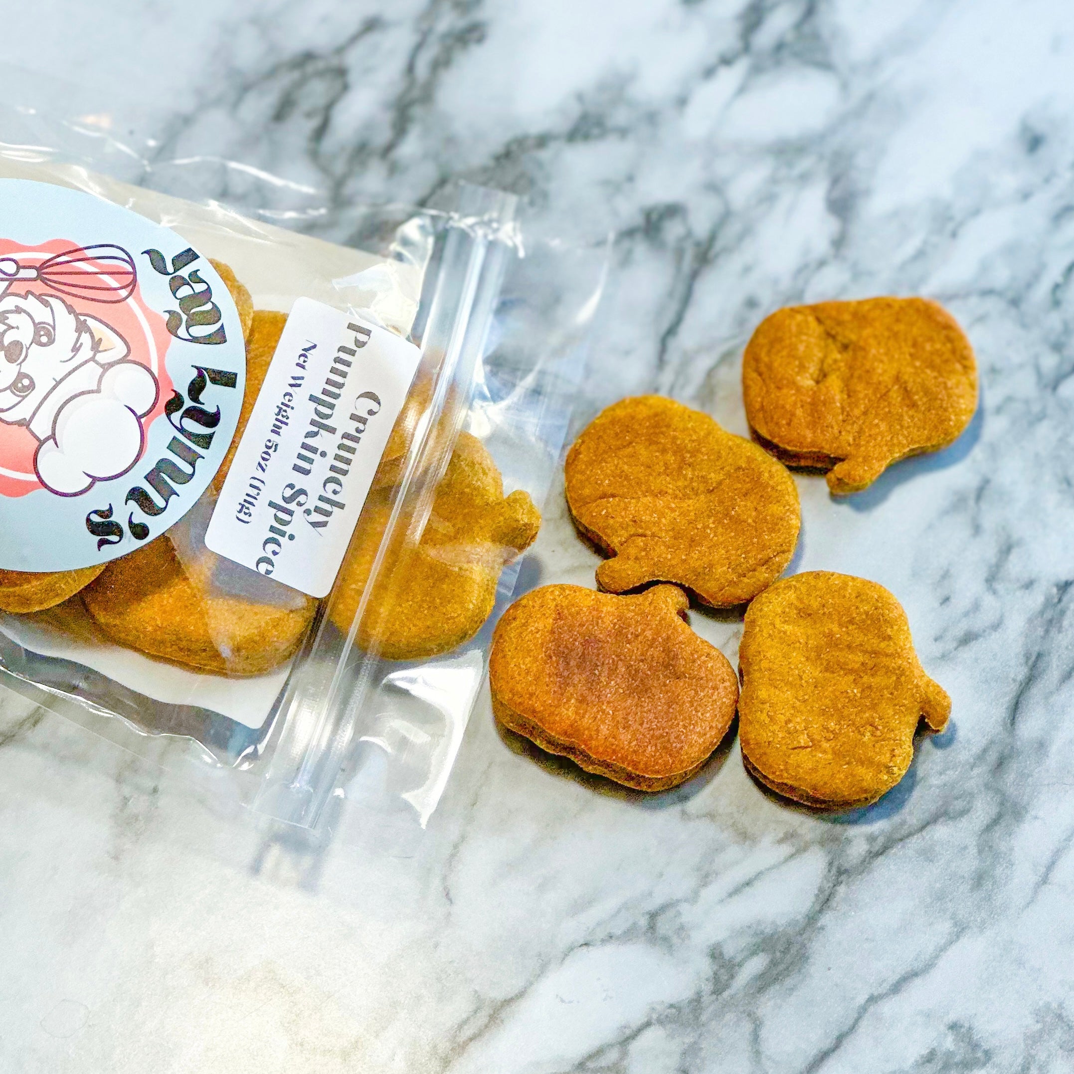 Crunchy Pumpkin Spice Dog Treats