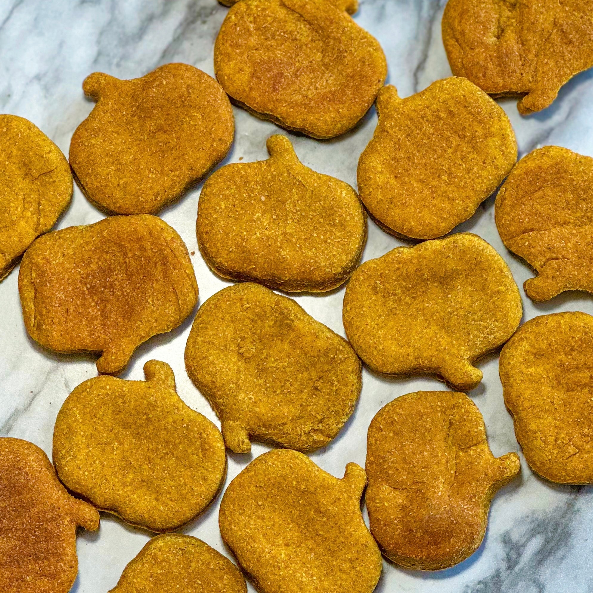 Crunchy Pumpkin Spice Dog Treats